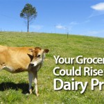 Your Grocery Bill Could Rise with Dairy Prices